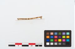 Foto von Goldbandbeschlag (NHMW-PRAE-024611)